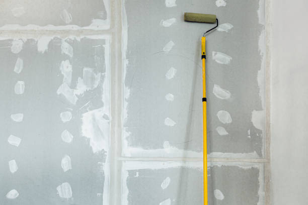Best Flood Damage  in Wauconda, IL
