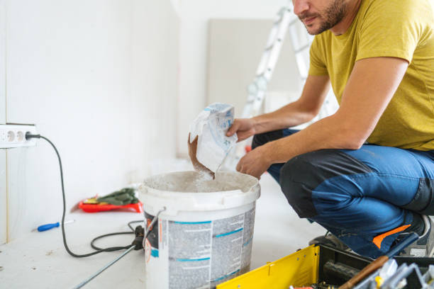 Best Mold Odor Removal Services  in Wauconda, IL