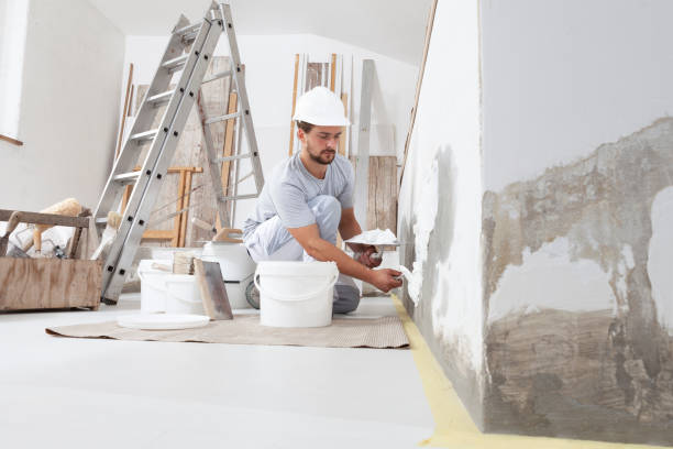 Best Emergency Mold Remediation  in Wauconda, IL