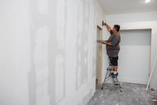 Best Water Damage & Mold Remediation  in Wauconda, IL