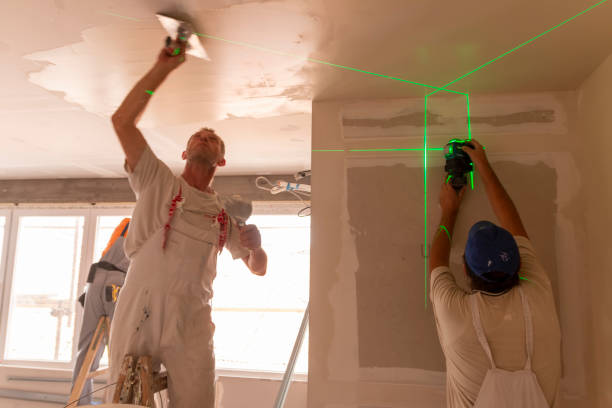 Best Air Quality Testing for Mold Spores  in Wauconda, IL